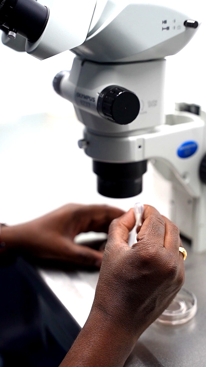 IVF embryology lab work Mother Hospitals